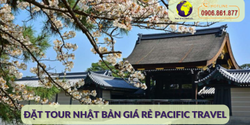 Đặt Tour Nhật Bản Giá Rẻ Pacific Travel