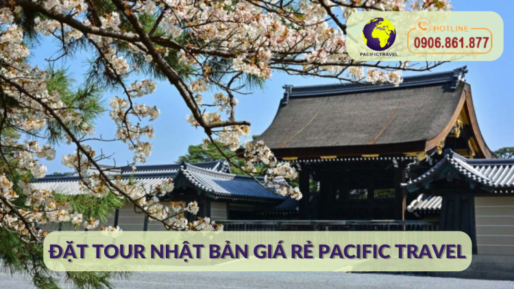 Đặt Tour Nhật Bản Giá Rẻ Pacific Travel