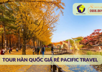 Tour Hàn Quốc Giá Rẻ Pacific Travel
