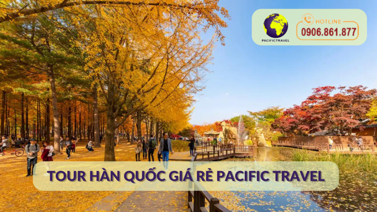 Tour Hàn Quốc Giá Rẻ Pacific Travel