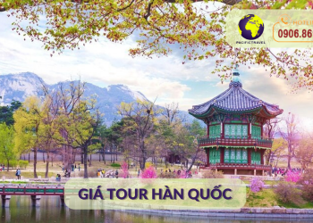 Giá Tour Hàn Quốc Rẻ Nhất TPHCM
