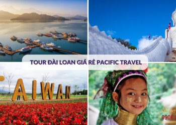 Tour Đài Loan giá rẻ Pacific Travel
