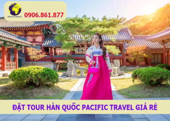 Đặt Tour Hàn Quốc Pacific Travel Giá Rẻ
